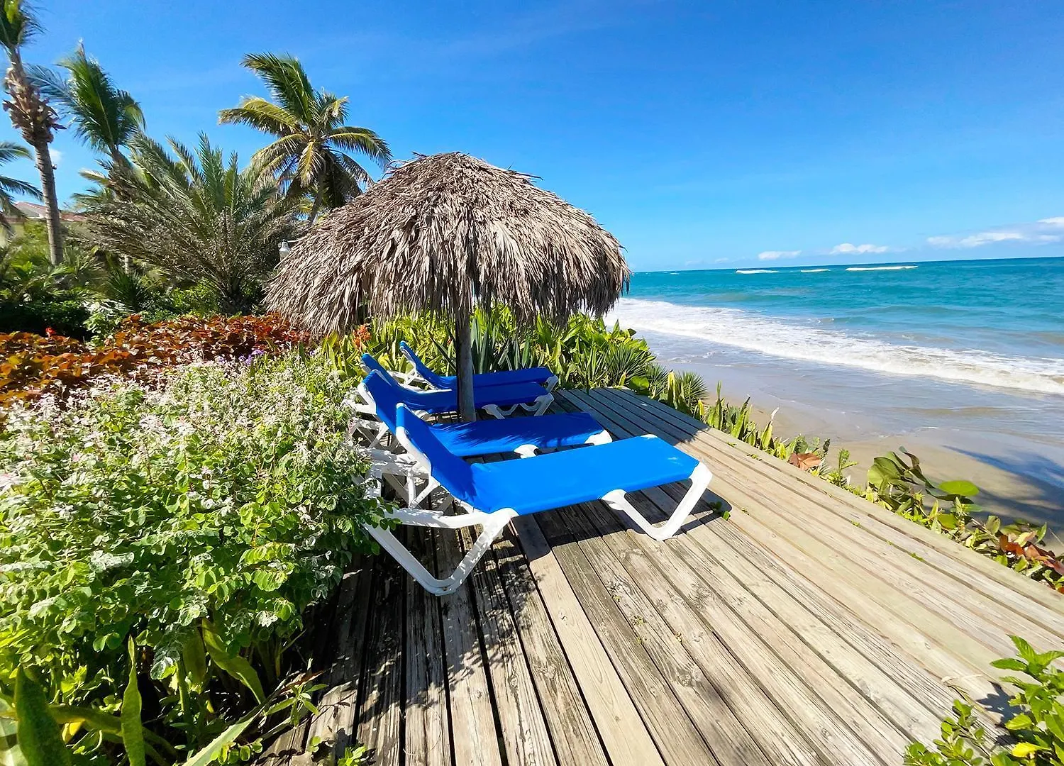 Best-View Penthouse On Kite Beach, Cabarete